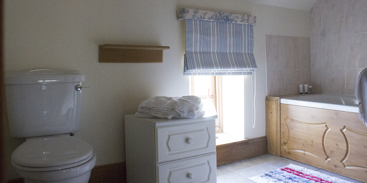 Suite Bathroom